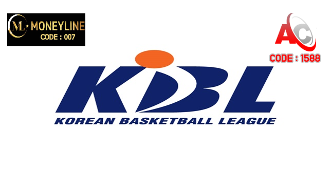 국내농구 KBL 스포츠분석